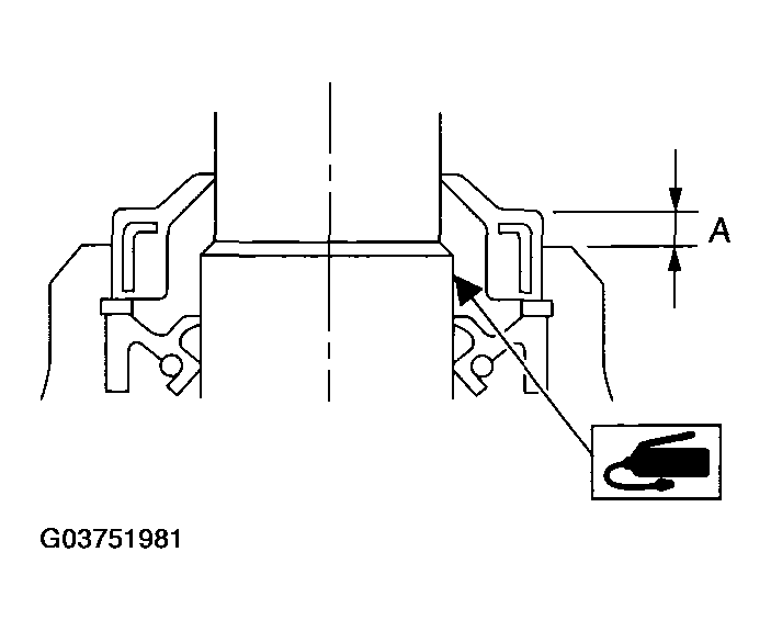 G03751981