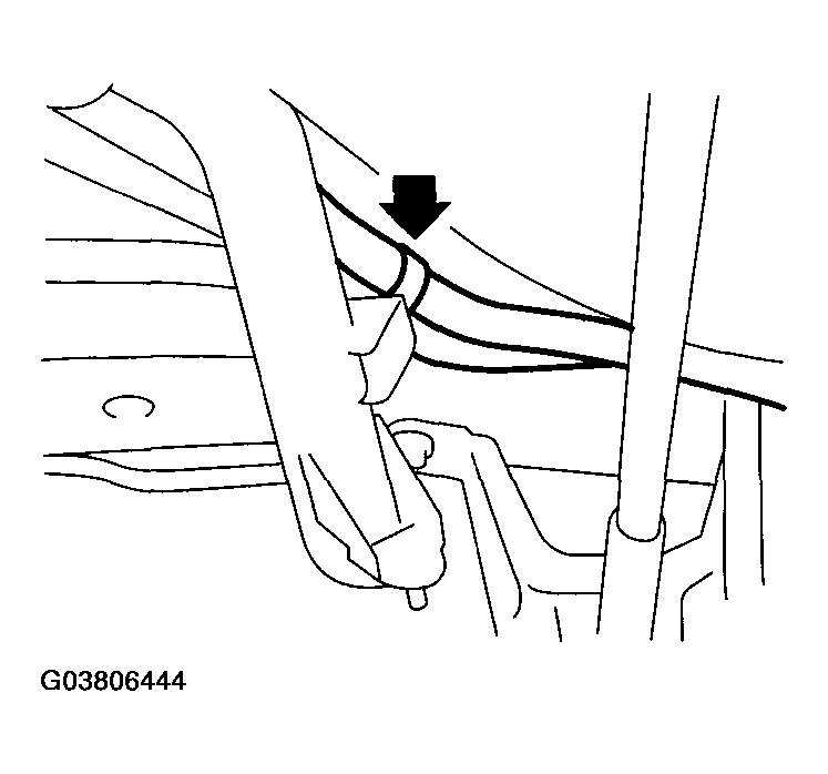 G03806444