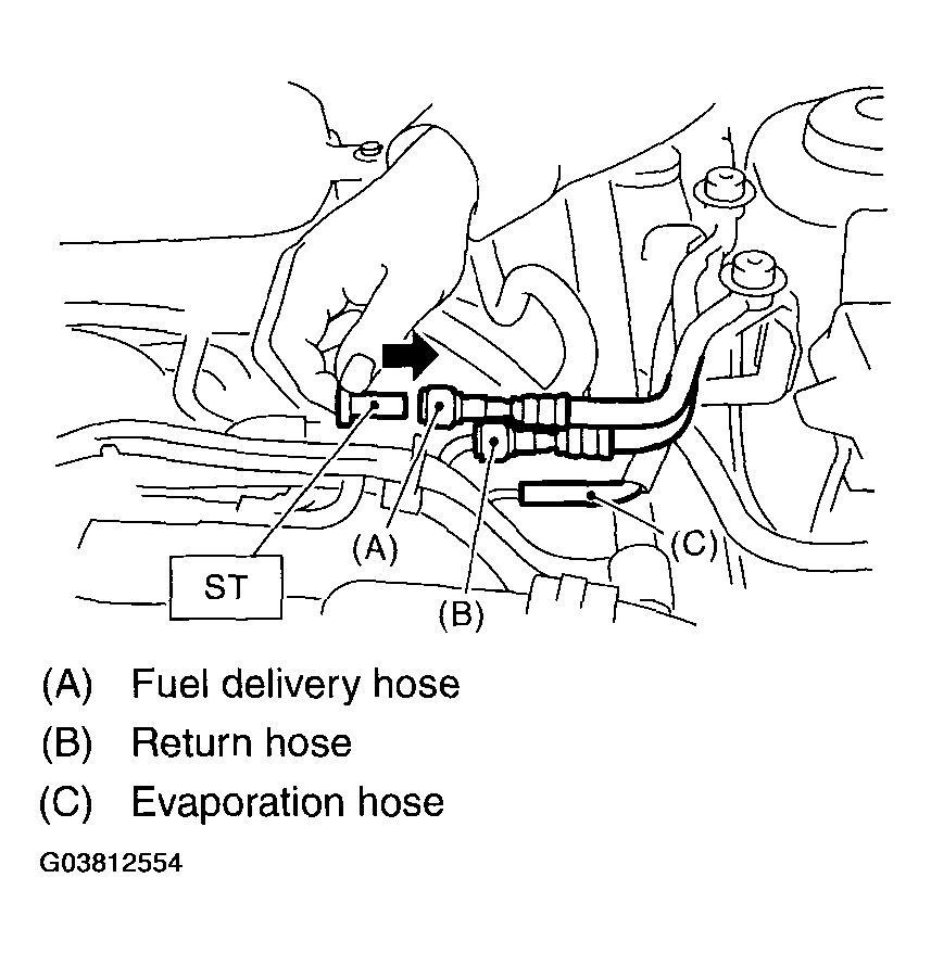 G03812554