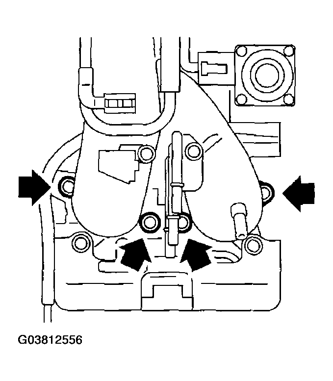 G03812556