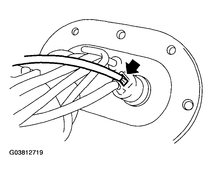 G03812719