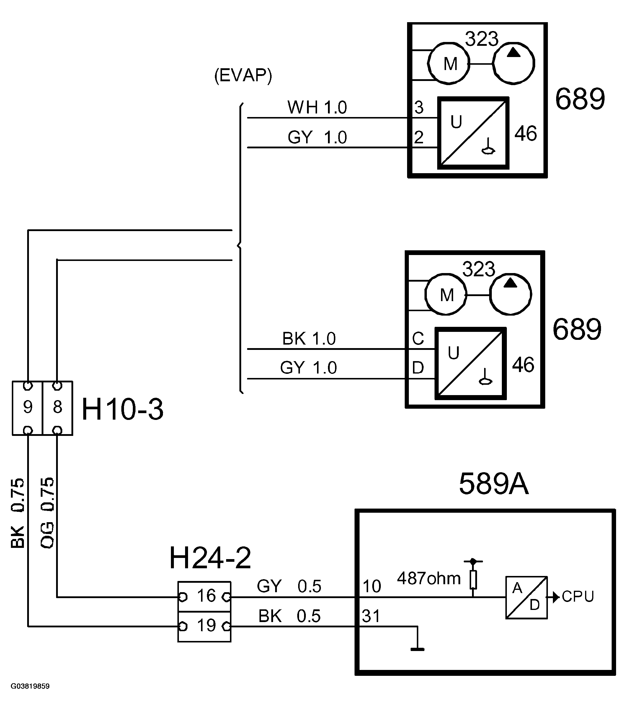 G03819859