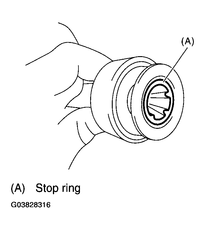 G03828316