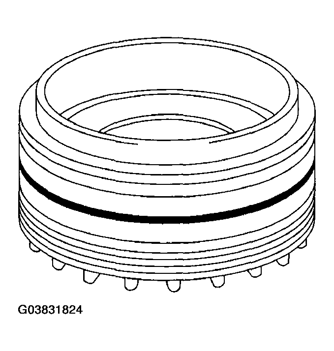 G03831824