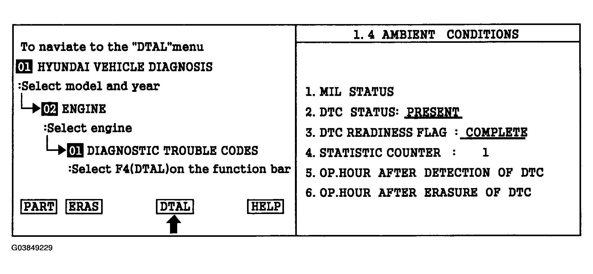 G03849229
