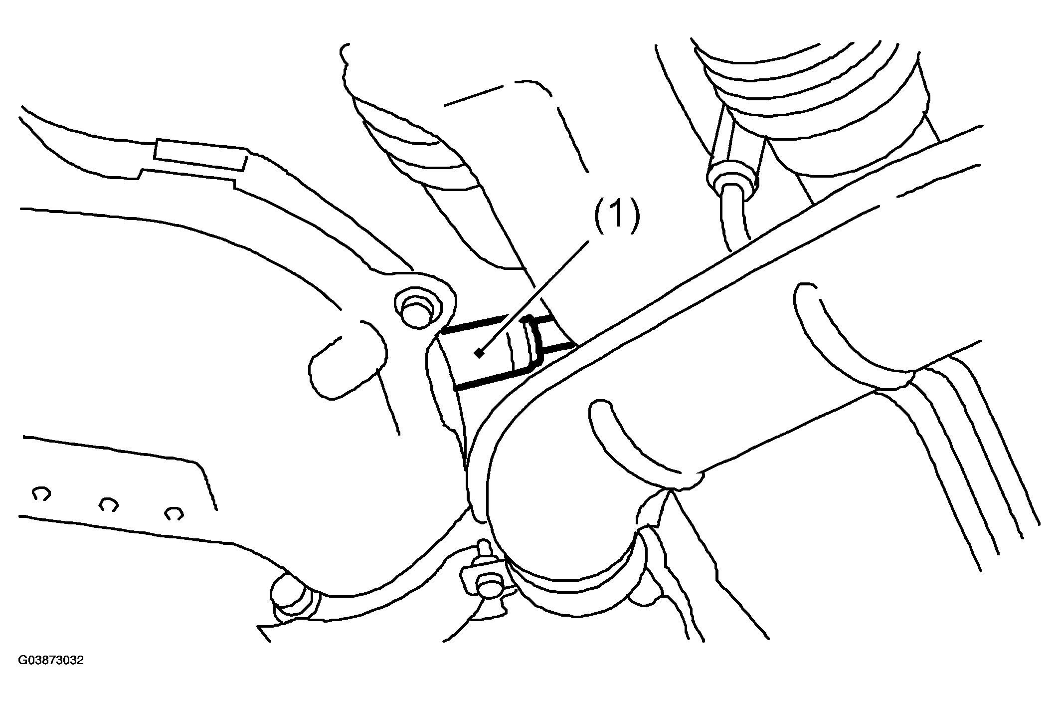 G03873032