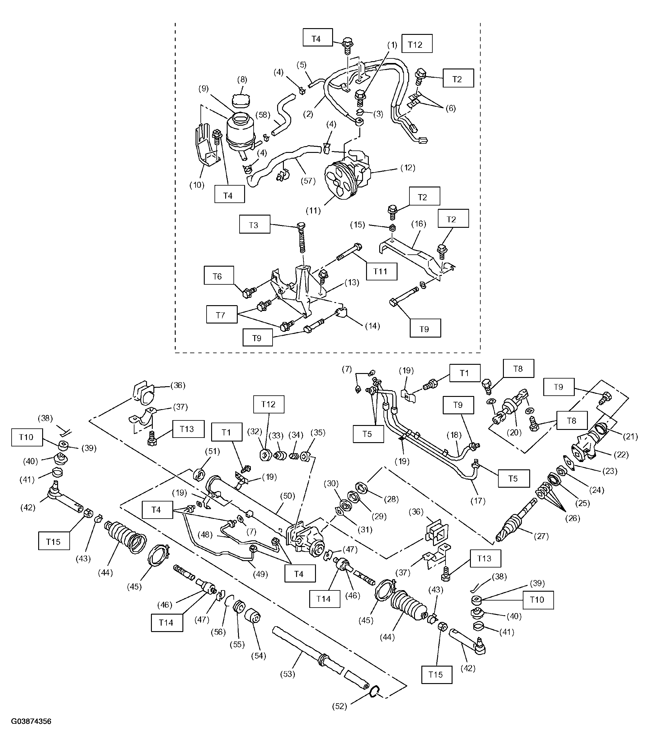 G03874356