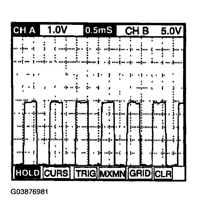 G03876981