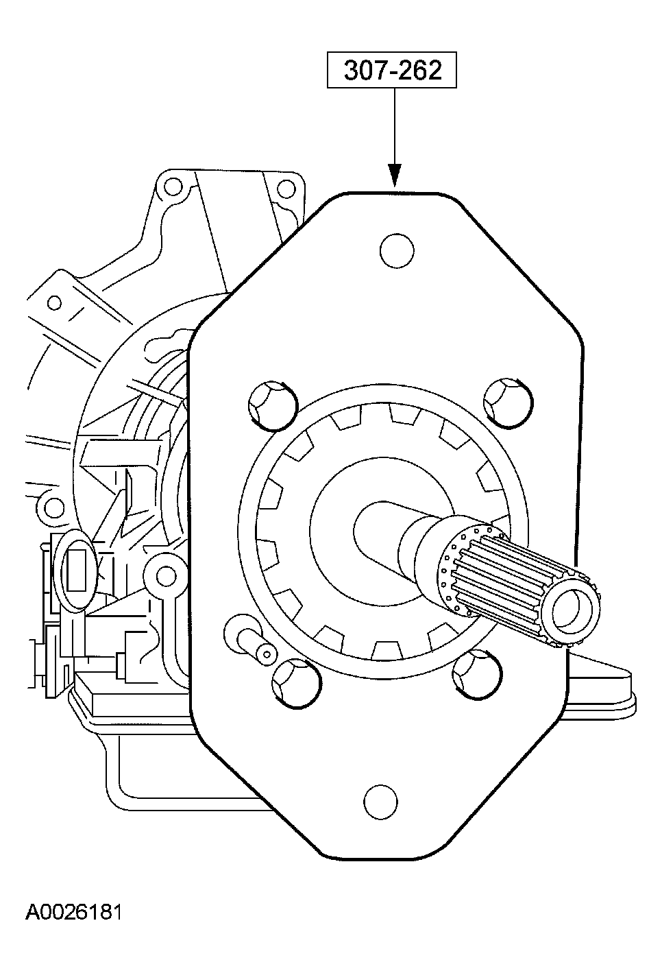 G03914904