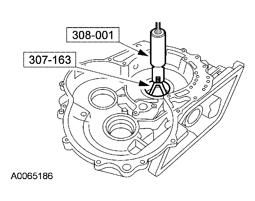 G03951554