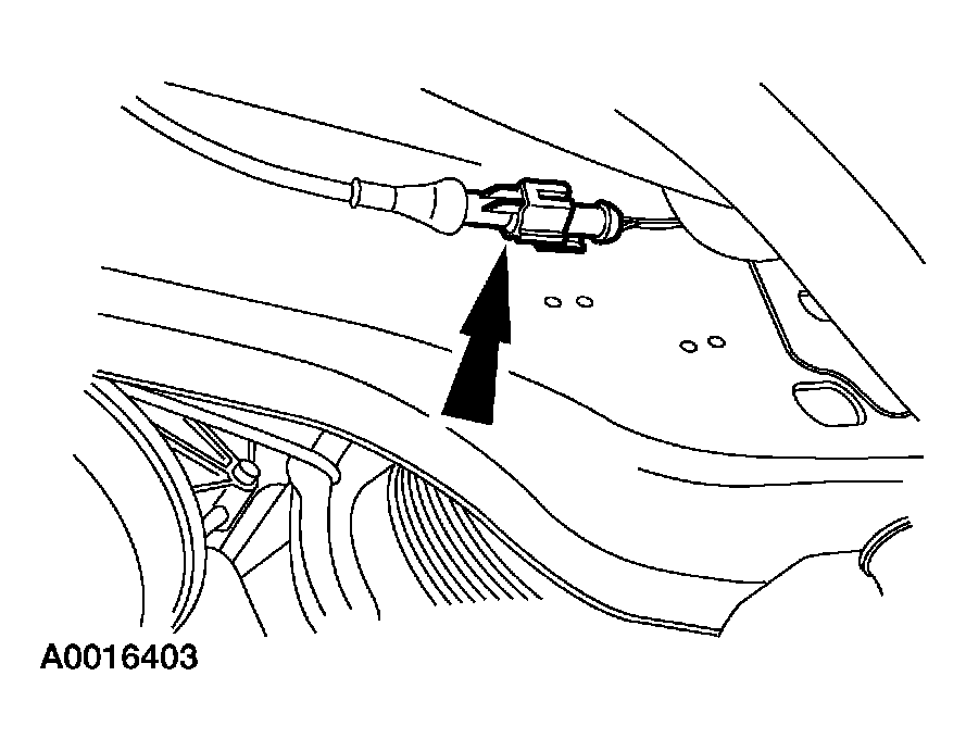 G03954605