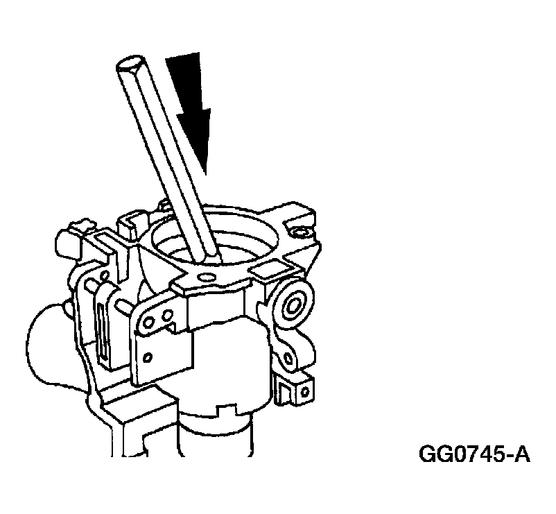 G03954821