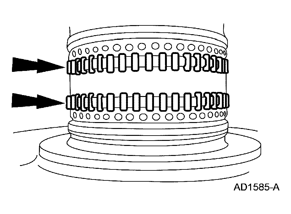 G03975407