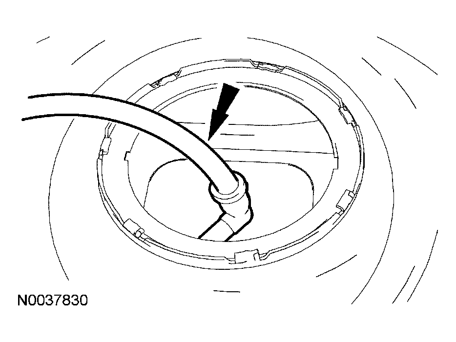 G03986104