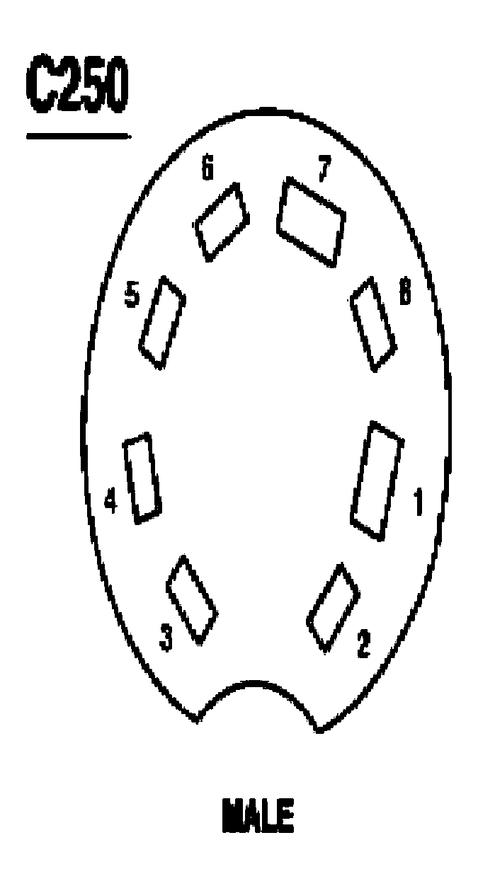 G03987651