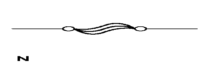 G04406291
