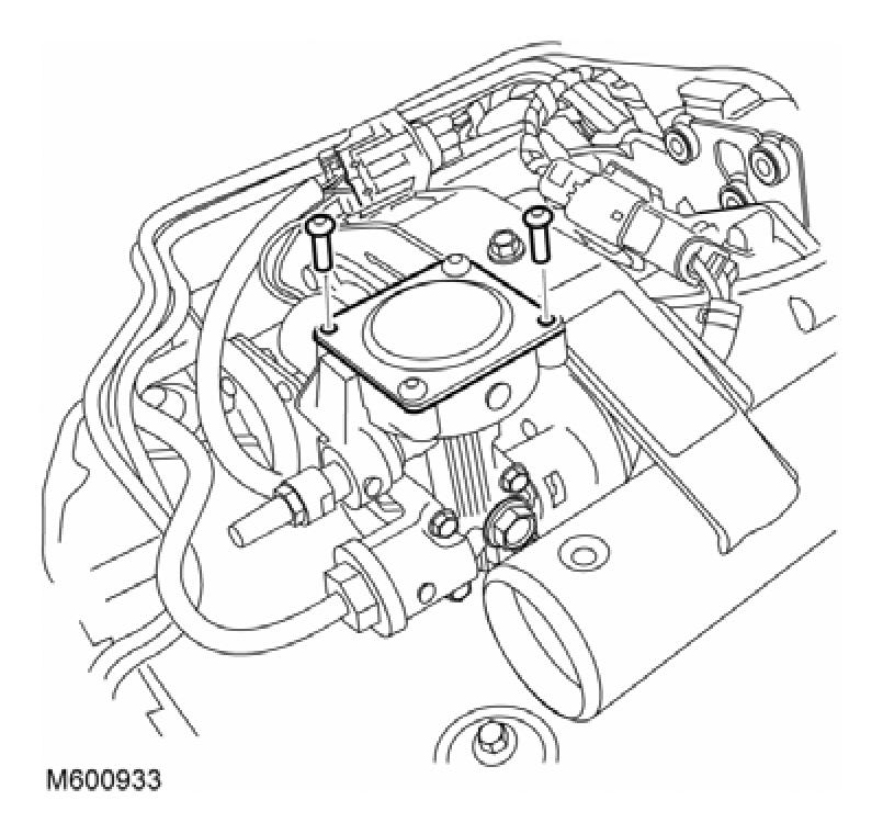 G04599135