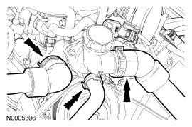 G04690296