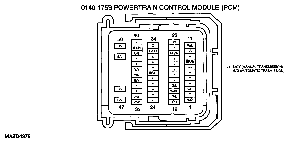 G04929095