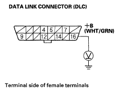 G05593750