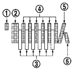 G06443082