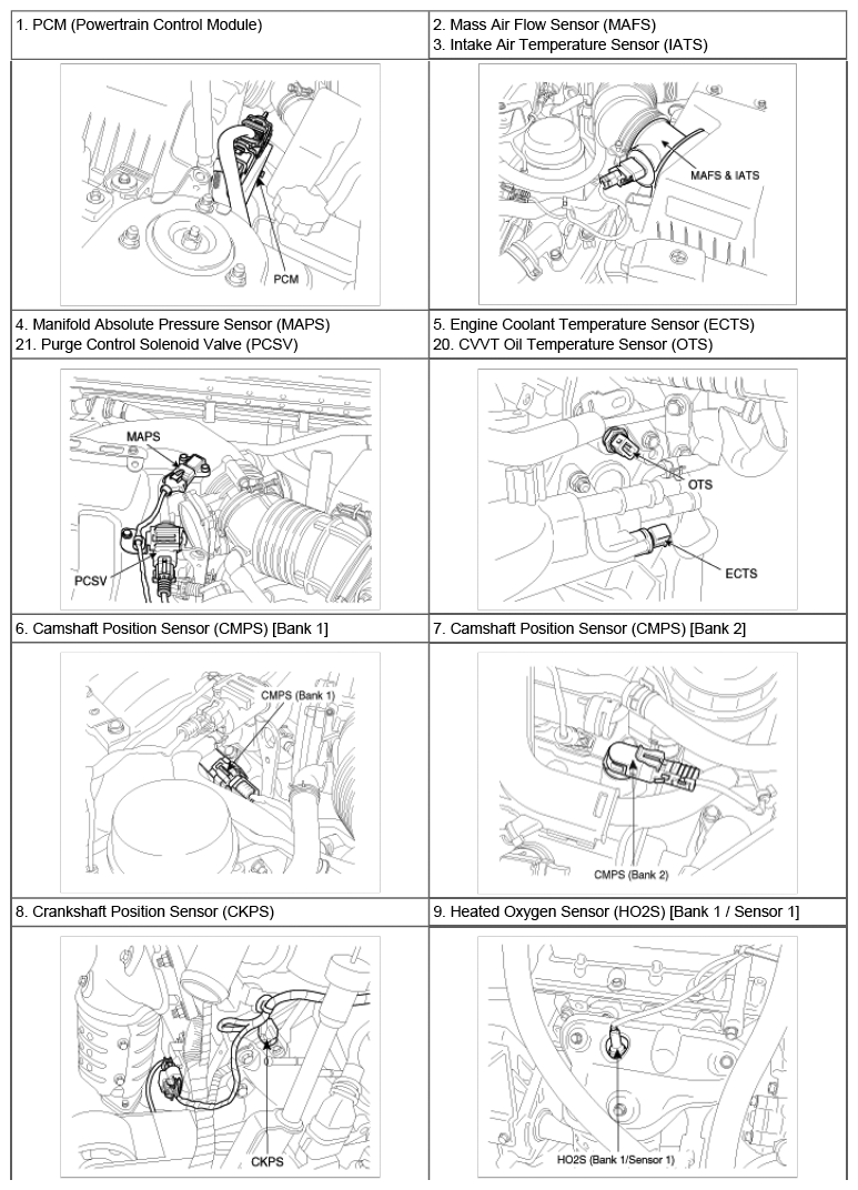 G06805031