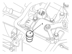 G06874381