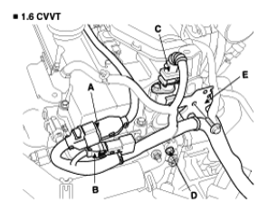 G06879005