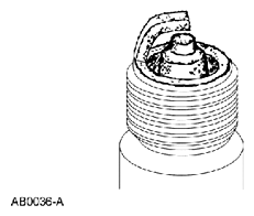 G07420891