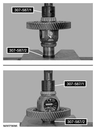 G07817486