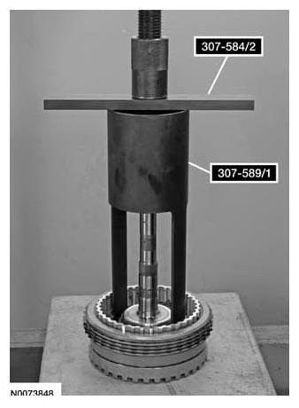 G07817558