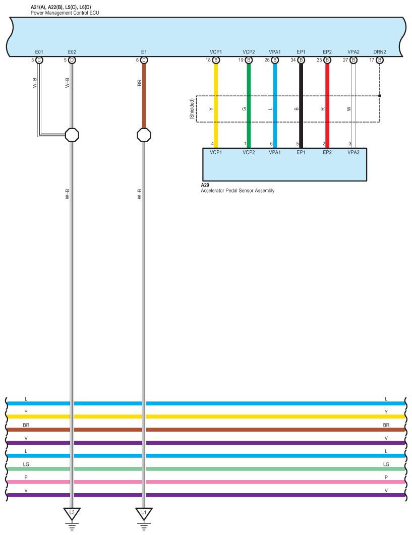 G09099369