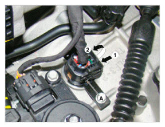 G09765549