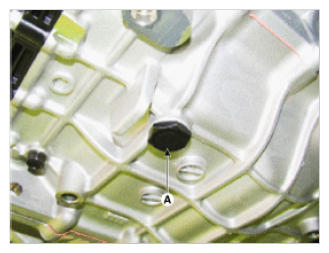 G09765550