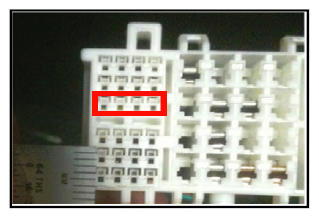 G09988284