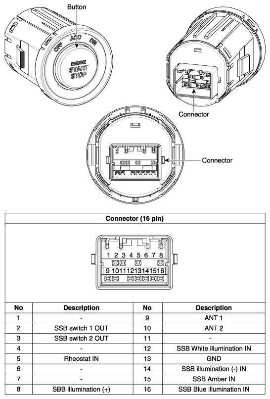 G10568061