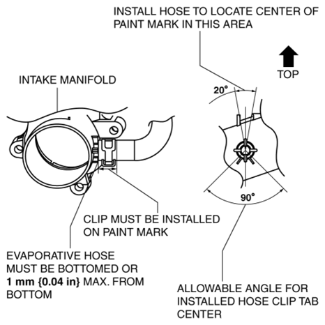 G10900598