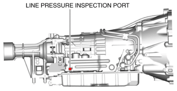 G10952691