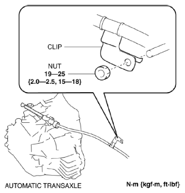 G10961210