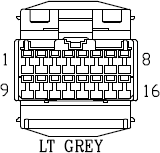 G11027856