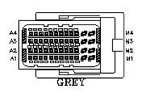 G11045210