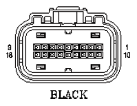 G11045608