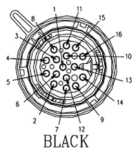 G11060955