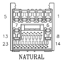 G11061538