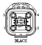 G11061988