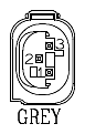 G11067901