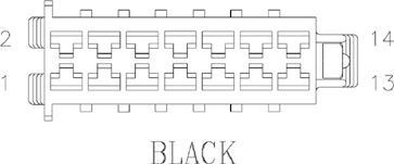 G11076036