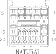 G11076216