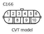 G11136824