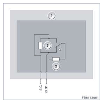 G11149544